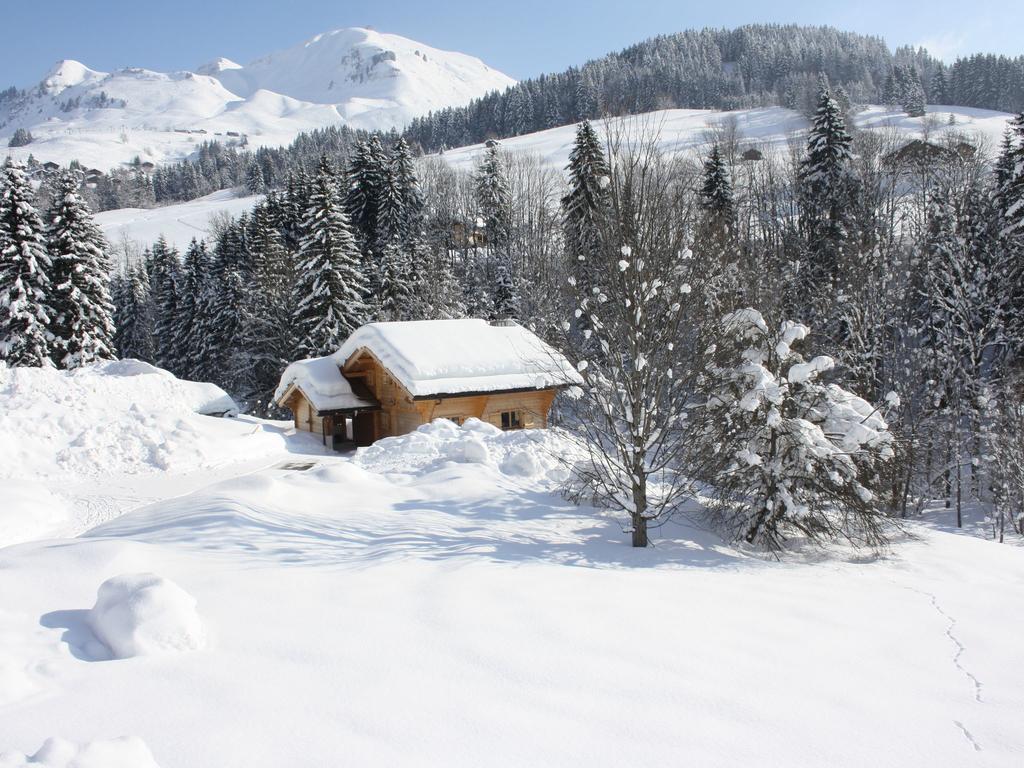 Luxurious Chalet In Le Chinaillon With Sauna Villa Le Grand-Bornand Exterior foto